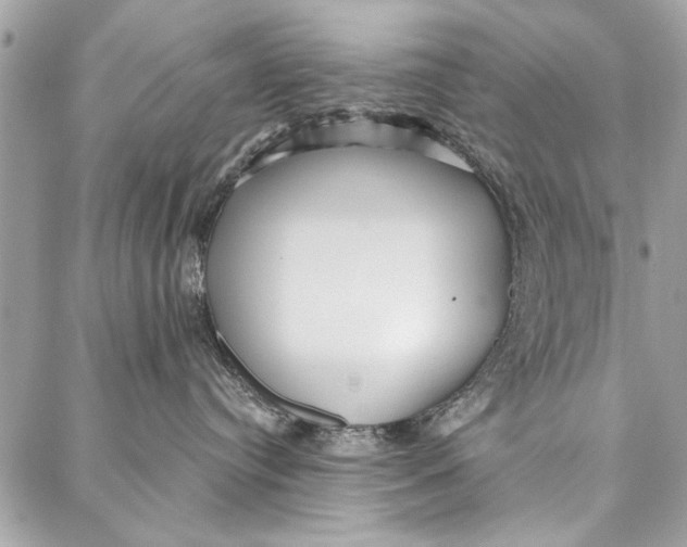 X0000086930384200705071359