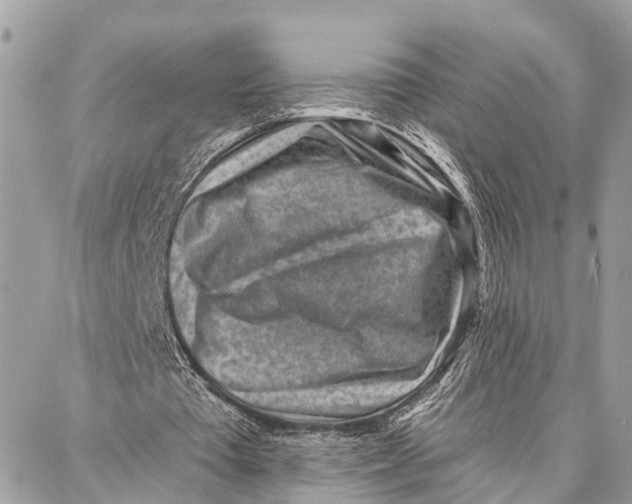 X0000086930385200705071358