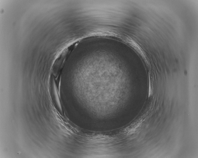 X0000086930387200705071358