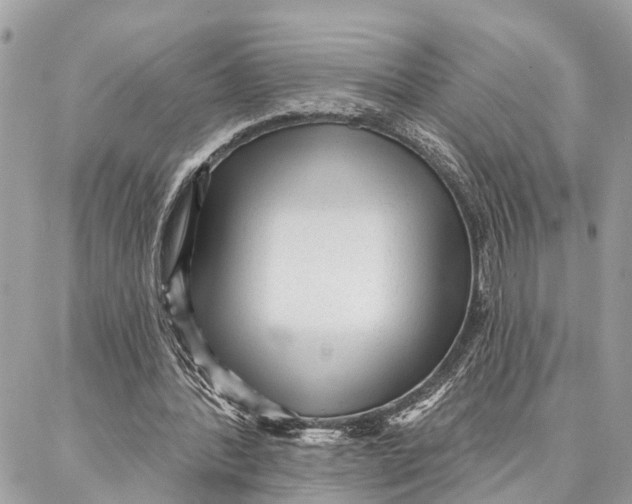 X0000086930388200705071358