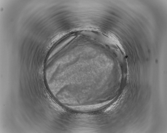 X0000086930389200705071358