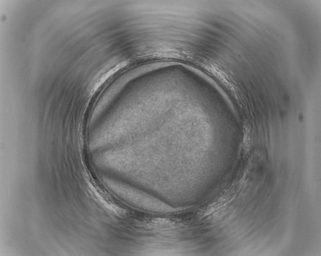 X0000086930390200705071358