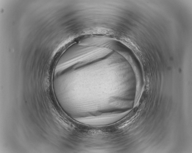 X0000086930392200705071358