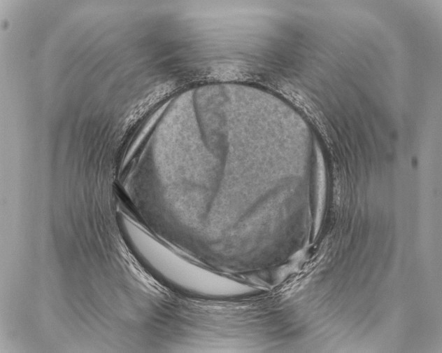 X0000086930393200705071358