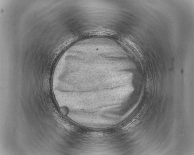 X0000086930394200705071358