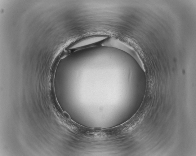 X0000086930395200705071358