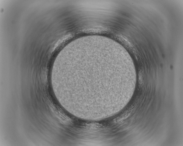 X0000086930396200705071358