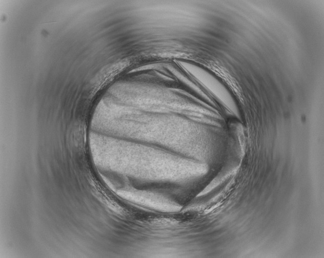 X0000086930397200705071358