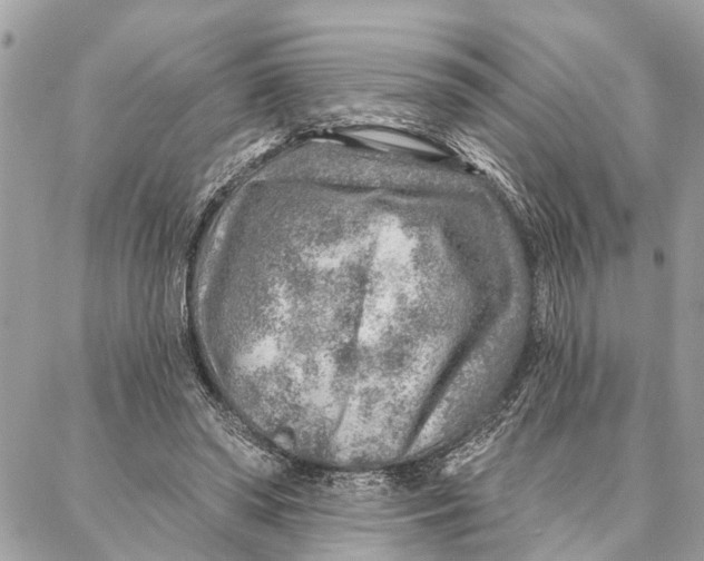 X0000086930398200705071358