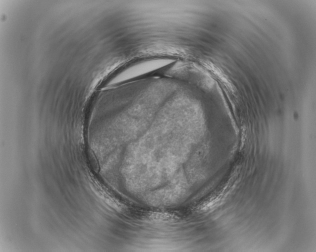 X0000086930399200705071358