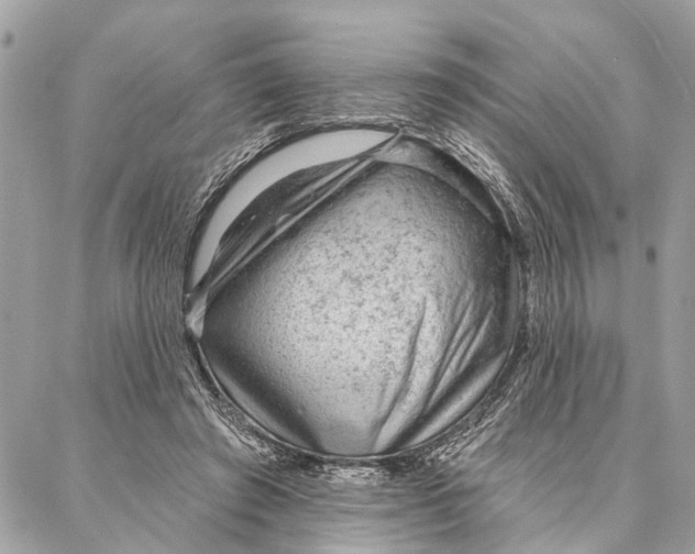 X0000086930401200705071358