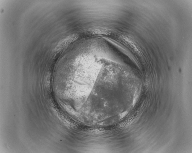 X0000086930402200705071358