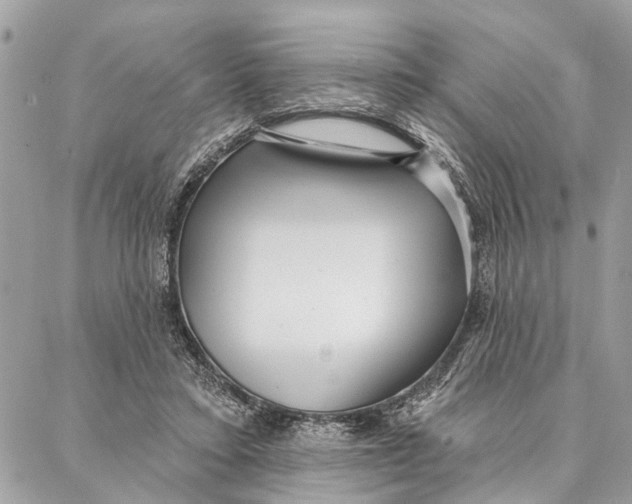 X0000086930403200705071358