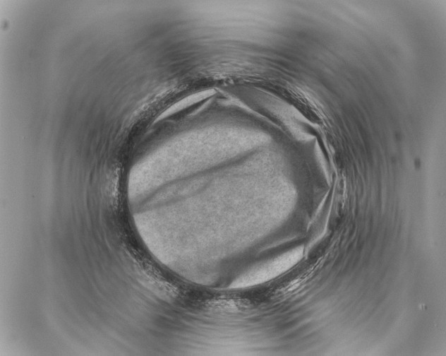 X0000086930404200705071358