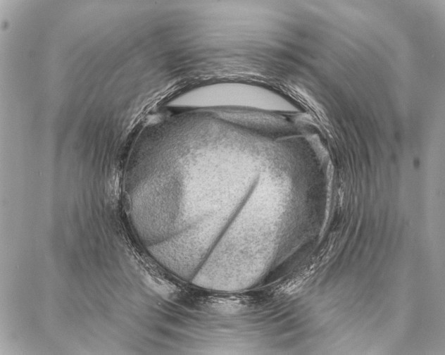 X0000086930405200705071358