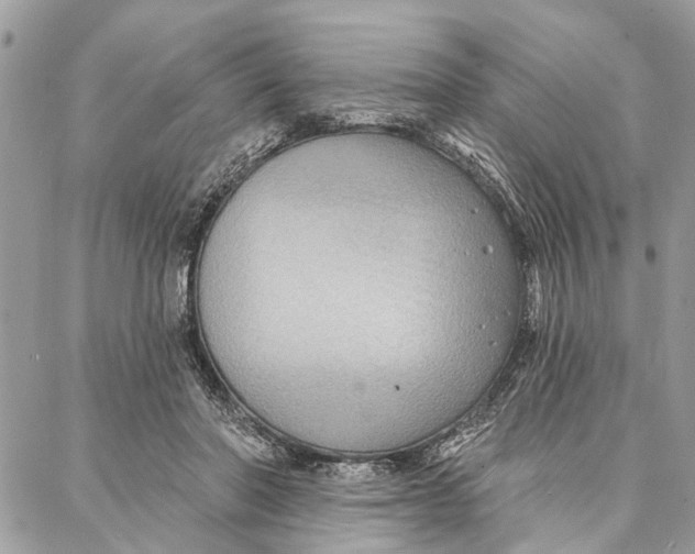 X0000086930406200705071358