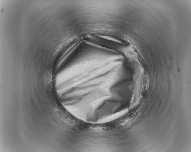 X0000086930407200705071358