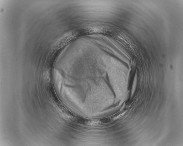 X0000086930410200705071358