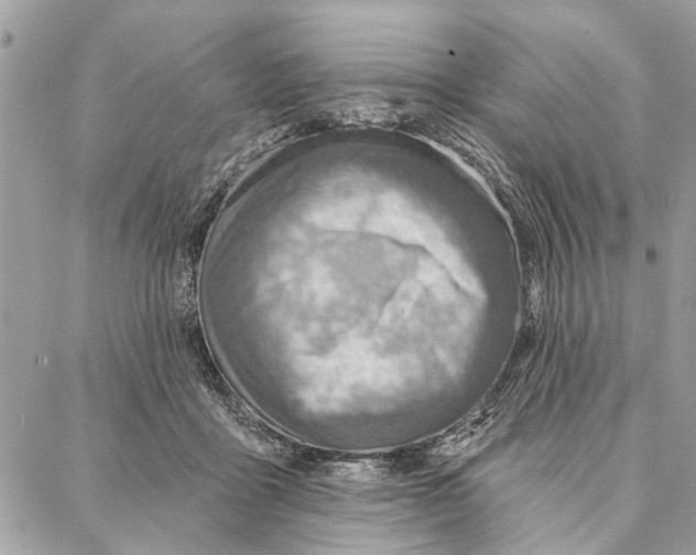 X0000086930411200705071358