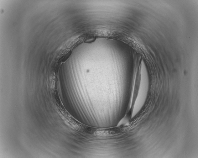 X0000086930413200705071358