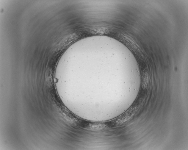 X0000086930414200705071358