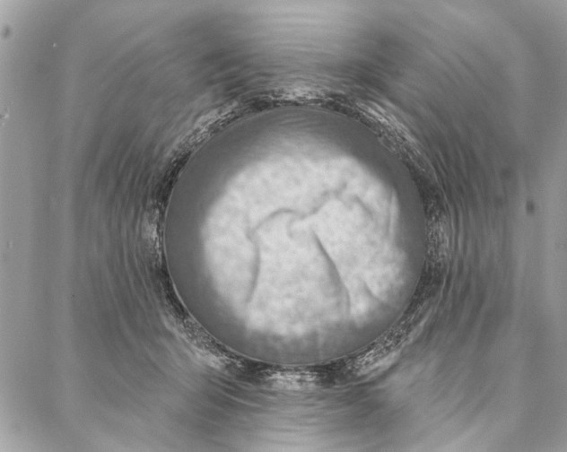 X0000086930415200705071358