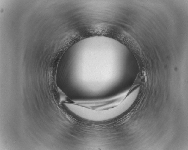 X0000086930416200705071358