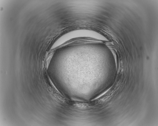 X0000086930417200705071358