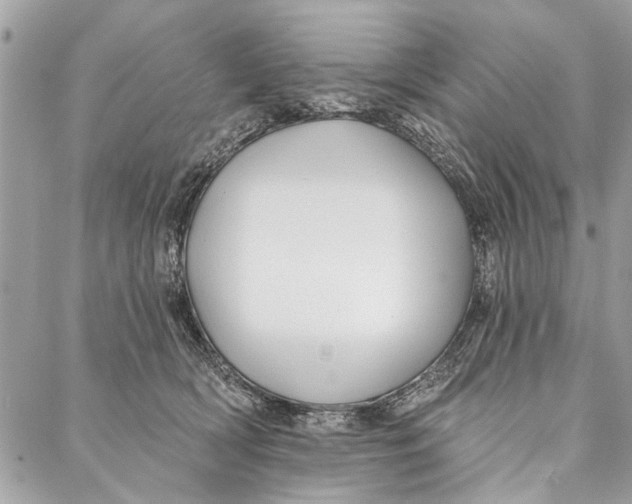 X0000086930418200705071358