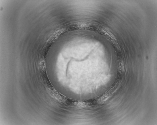 X0000086930419200705071358