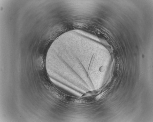 X0000086930420200705071358