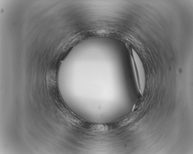 X0000086930421200705071358