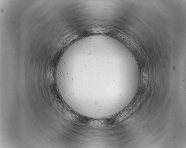 X0000086930422200705071358