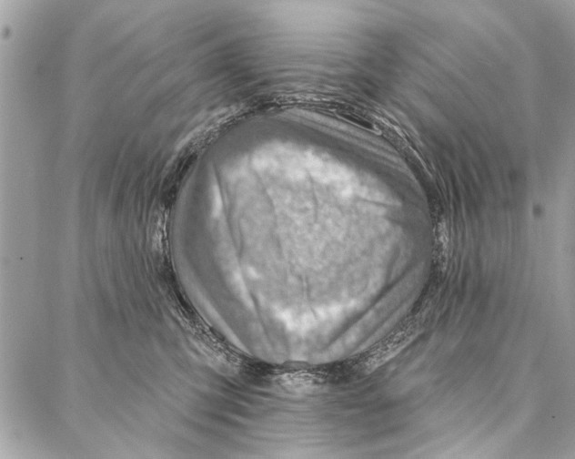 X0000086930423200705071358