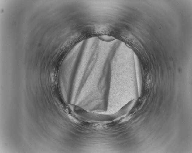 X0000086930424200705071358