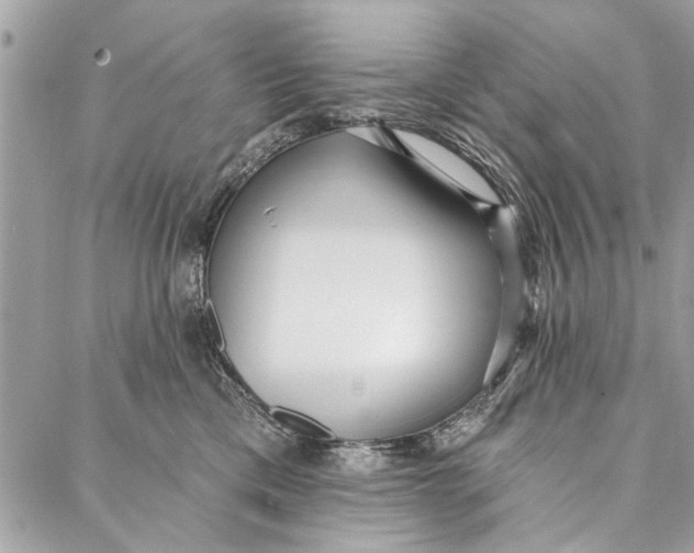 X0000086930425200705071358