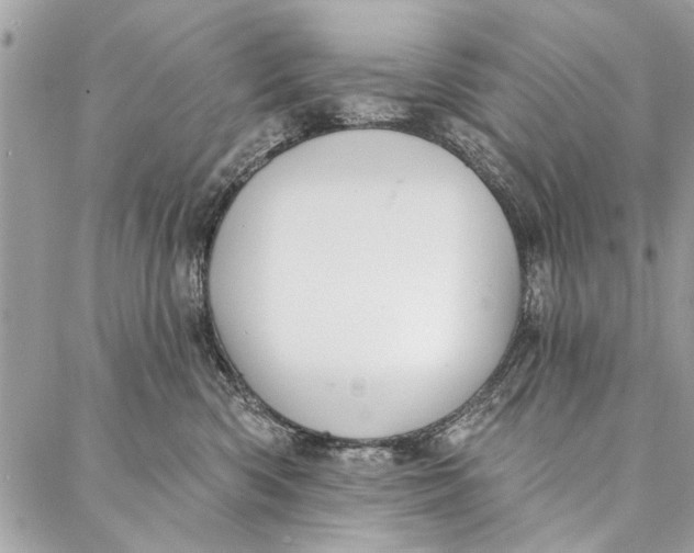 X0000086930426200705071358