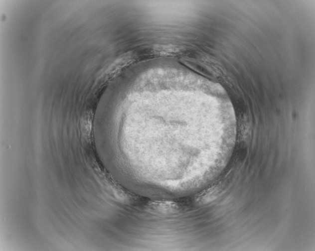 X0000086930427200705071358