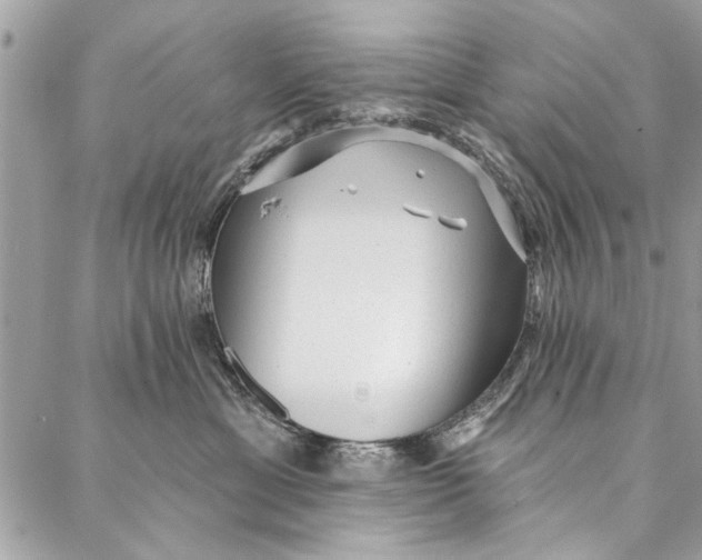 X0000086930429200705071358