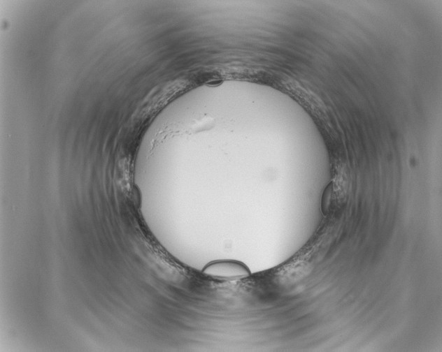 X0000086930430200705071358