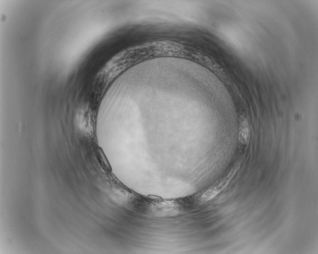 X0000086930431200705071358