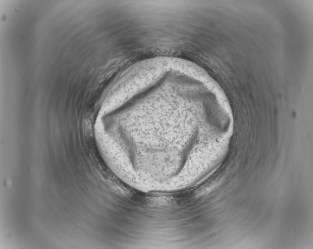 X0000086930432200705071358