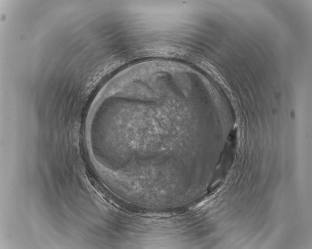 X0000086930434200705071357