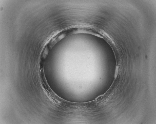 X0000086930436200705071357