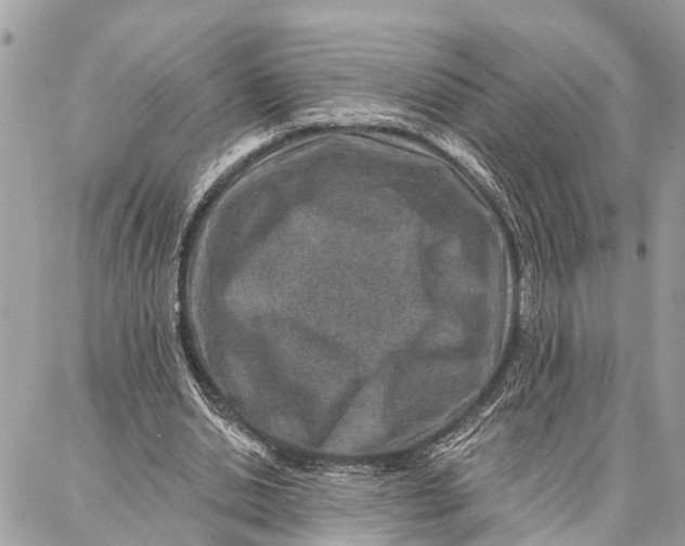 X0000086930438200705071357