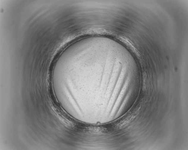 X0000086930439200705071357