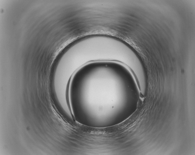 X0000086930440200705071357