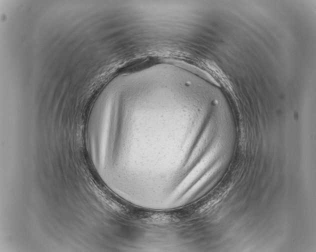 X0000086930441200705071357