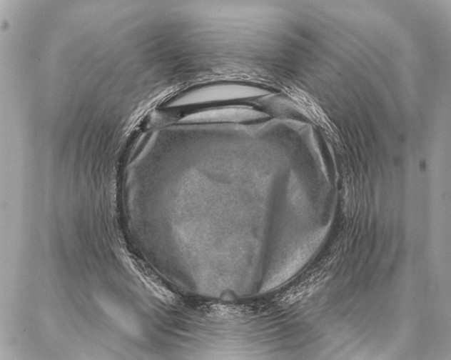 X0000086930442200705071357