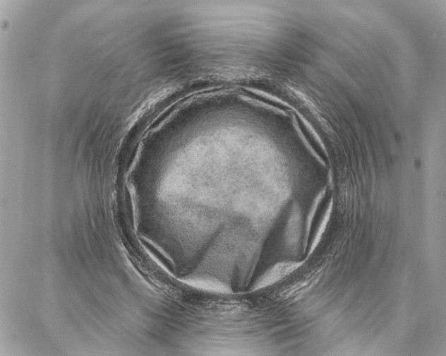 X0000086930443200705071357